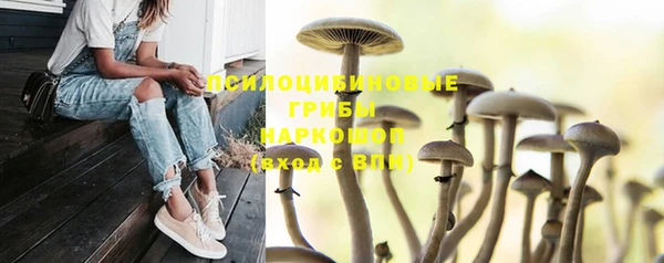 дживик Кукмор