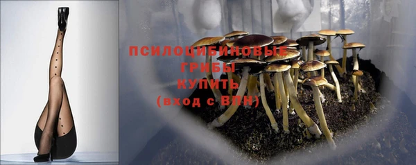 дурь Кулебаки