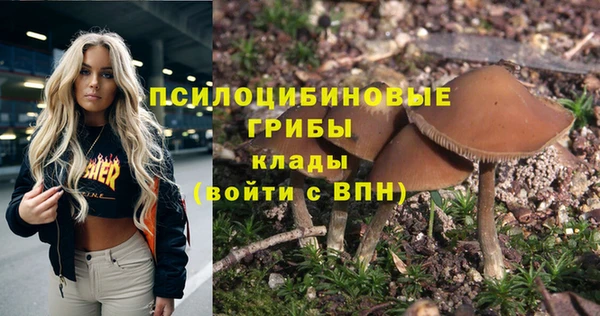 дживик Кукмор