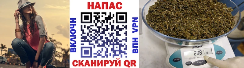 Бошки Шишки планчик Монино